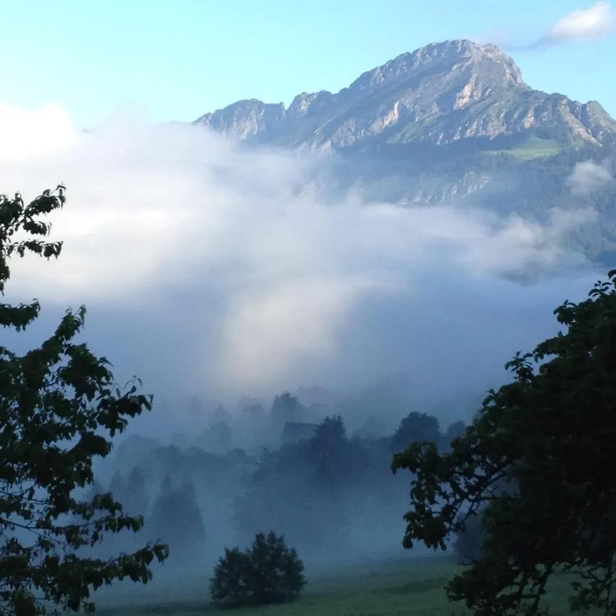 Chalet La Chaumiere - Luxury Traditional Chalet, Chatel